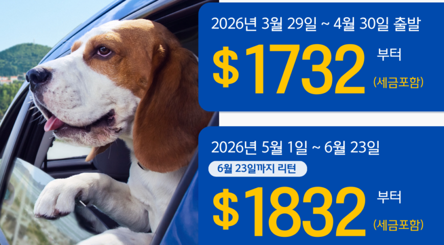 Sale Template for Web (9) 1 (1)